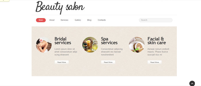Technology using for designing the salon website